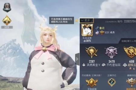 和平精英猪脸哪里买