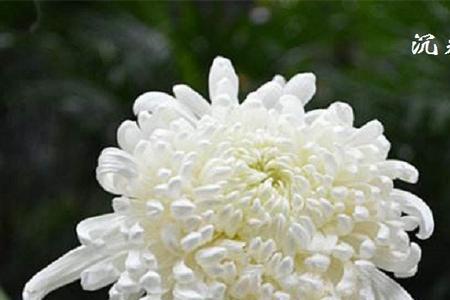 一路节哀什么意思