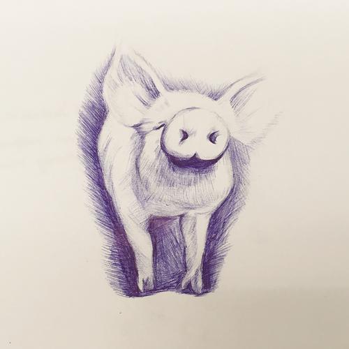 圆珠笔画入门