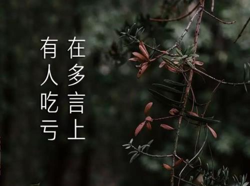 言寡什么意思