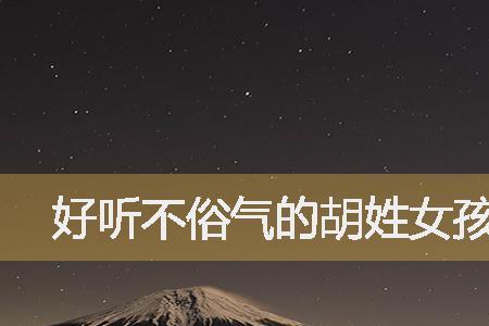 胡姓霸气名字