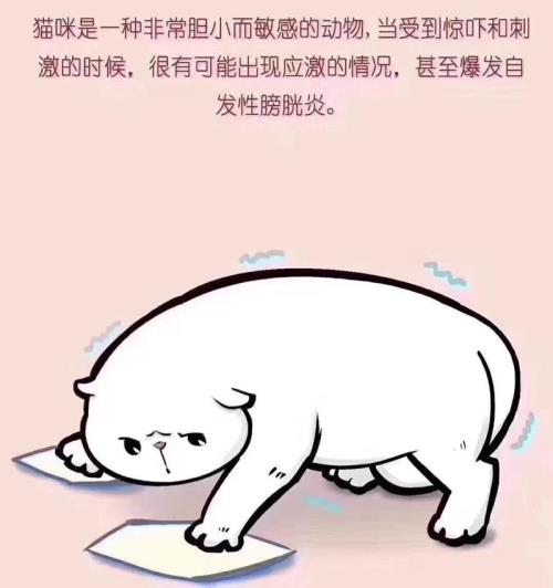 拒一切是什么意思