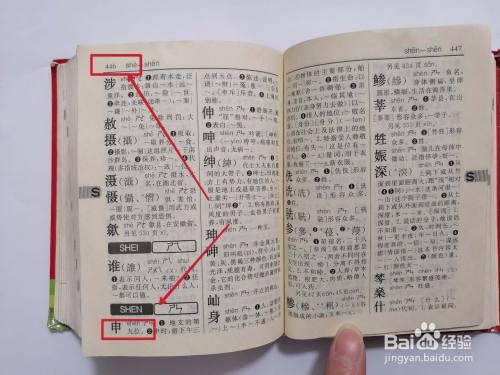 申和丹的部首是什么