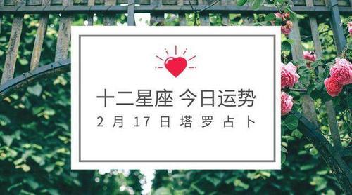 2006年2月17出生的是什么星座