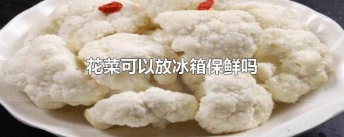生花菜是放冰箱里还是常温存放