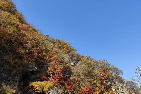 醉景的意思