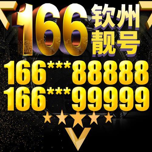 166号段哪年出的