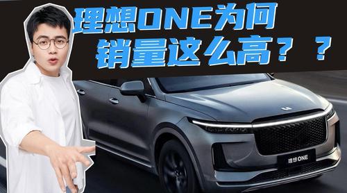 理想one支持u盘播放本地视频吗