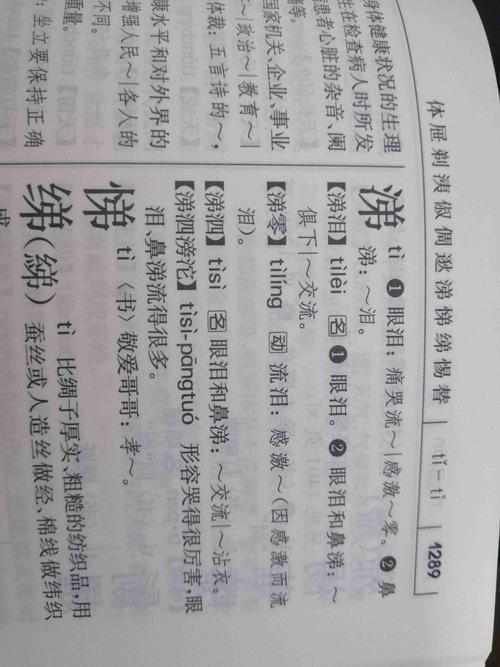 泪涕的意思