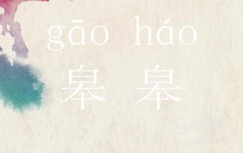 着实的读音是什么