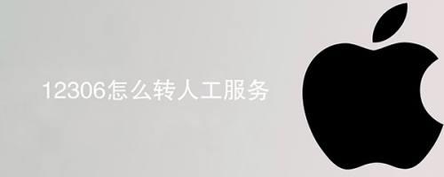 12306客服电话如何转人工服务