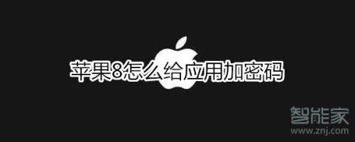苹果8手机锁了1个小时怎么解决