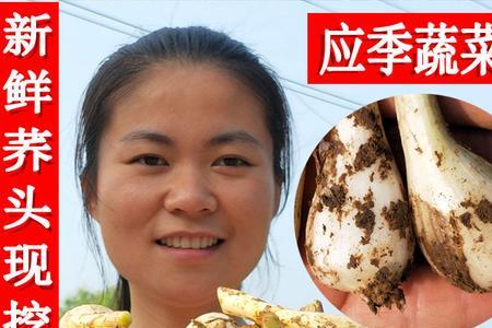 荞头亩产一般多少斤