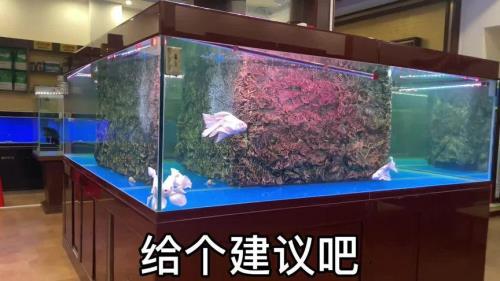 怎么幽默的调侃女生养鱼