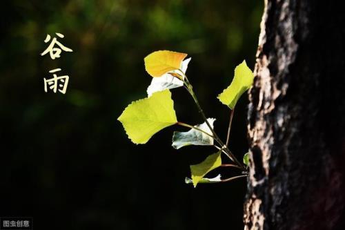 一个季节有多少个月怎么回答