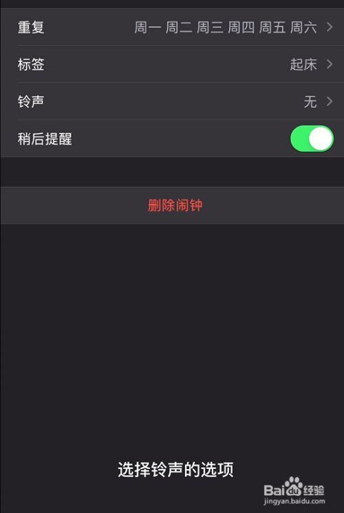 苹果手机怎么看下一个闹钟