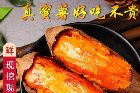 红心蜜薯哪个品种最好