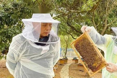 个人养蜂用办证吗