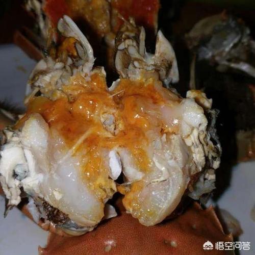 螃蟹公的好还是母的好