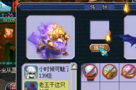 梦幻西游配速宠是什么意思