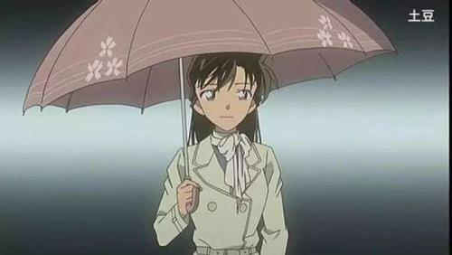 毛利兰一共有多少件衣服