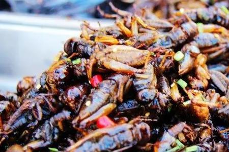 听蝲蛄叫还不种庄稼类似的典故