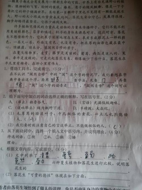 有哪些词语与淑女相似