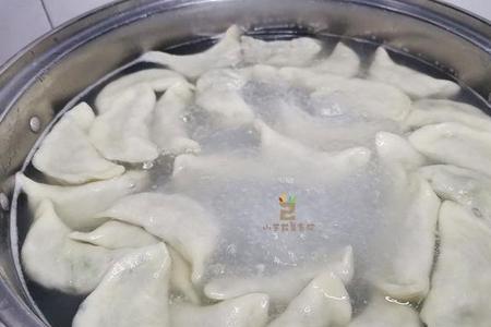 煮饺子煮了好久皮怎么发白