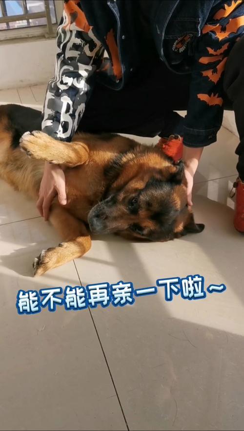 亲狗狗它会怎么想