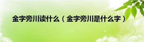 金字旁一个臭是什么字