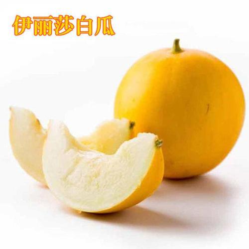 伊丽莎白瓜可以放保鲜层吗