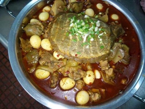 如何烹饪甲鱼最好方法
