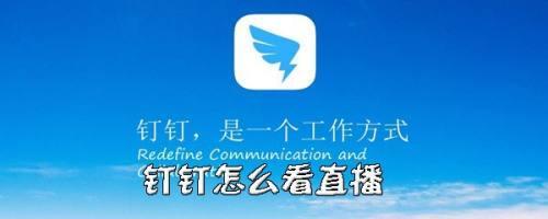 钉钉直播回放可以累计时长么