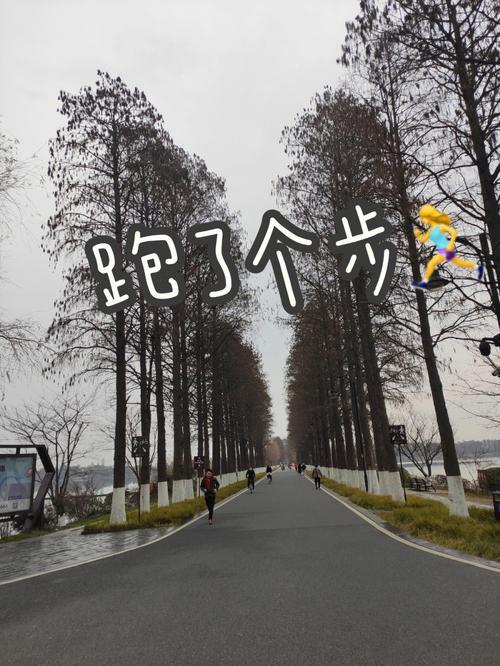 11公里等于多少步数