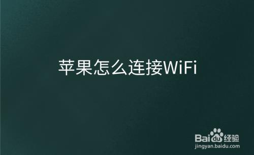 苹果12wifi每次都要手动连接