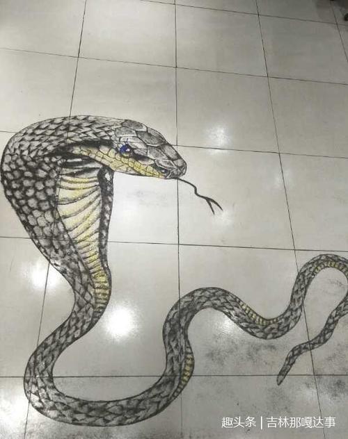 蟒蛇王咋画