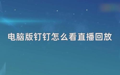 钉钉开倍速看回放