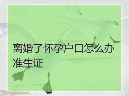 怀孕办理结婚登记的流程