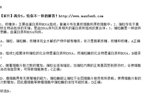 什么叫末端因素