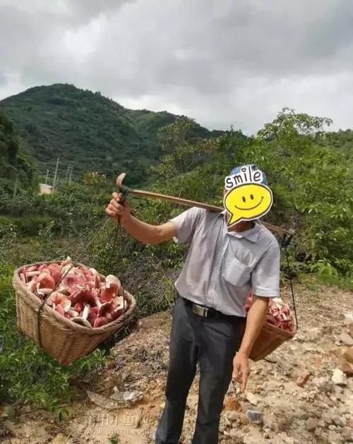 担和但的区别