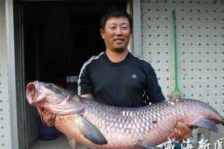 青鱼涨水会跑吗