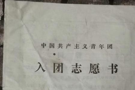 入团家庭情况怎么写