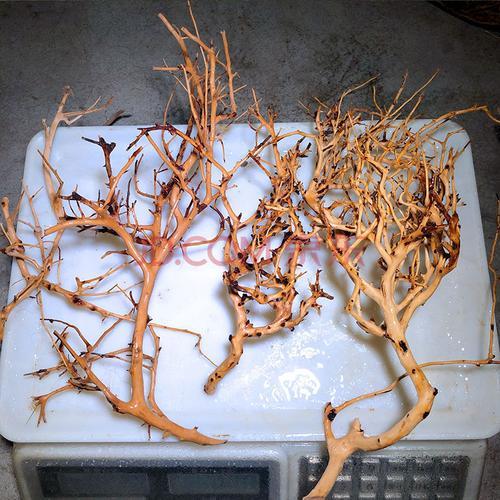 杜鹃根煮和不煮的区别