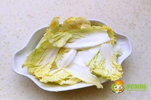 泰迪生吃娃娃菜可以吗