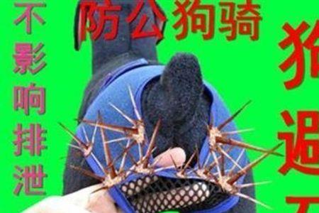 狗避孕最简单的土方法