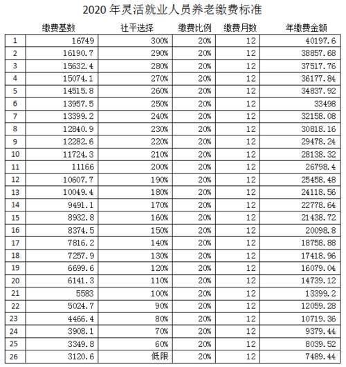 河北2023灵活就业社保缴费时间