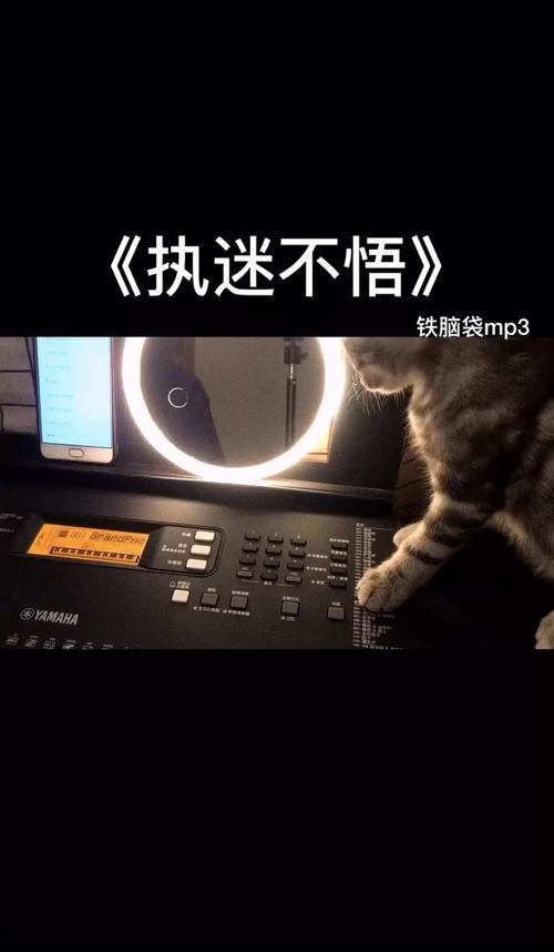每天忙忙碌碌完整版歌曲