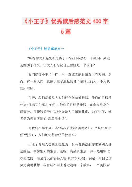 猫王子读后感简短