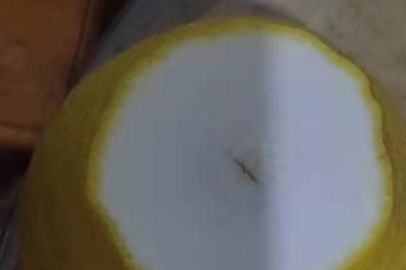 剥柚子皮的三种办法