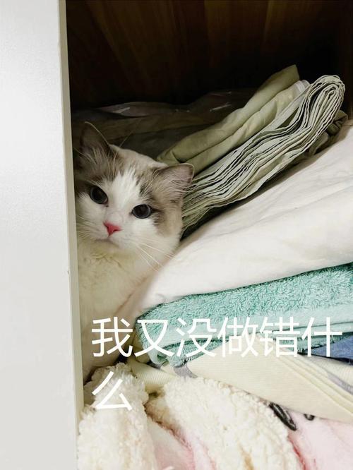 没有下次了是什么意思